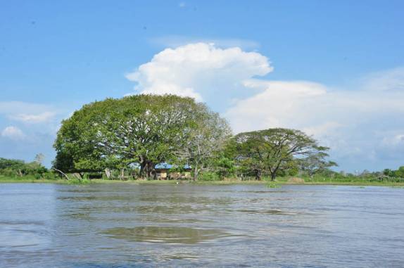 Um dos braços do Rio Magdalena, em Mompós, na Colômbia
